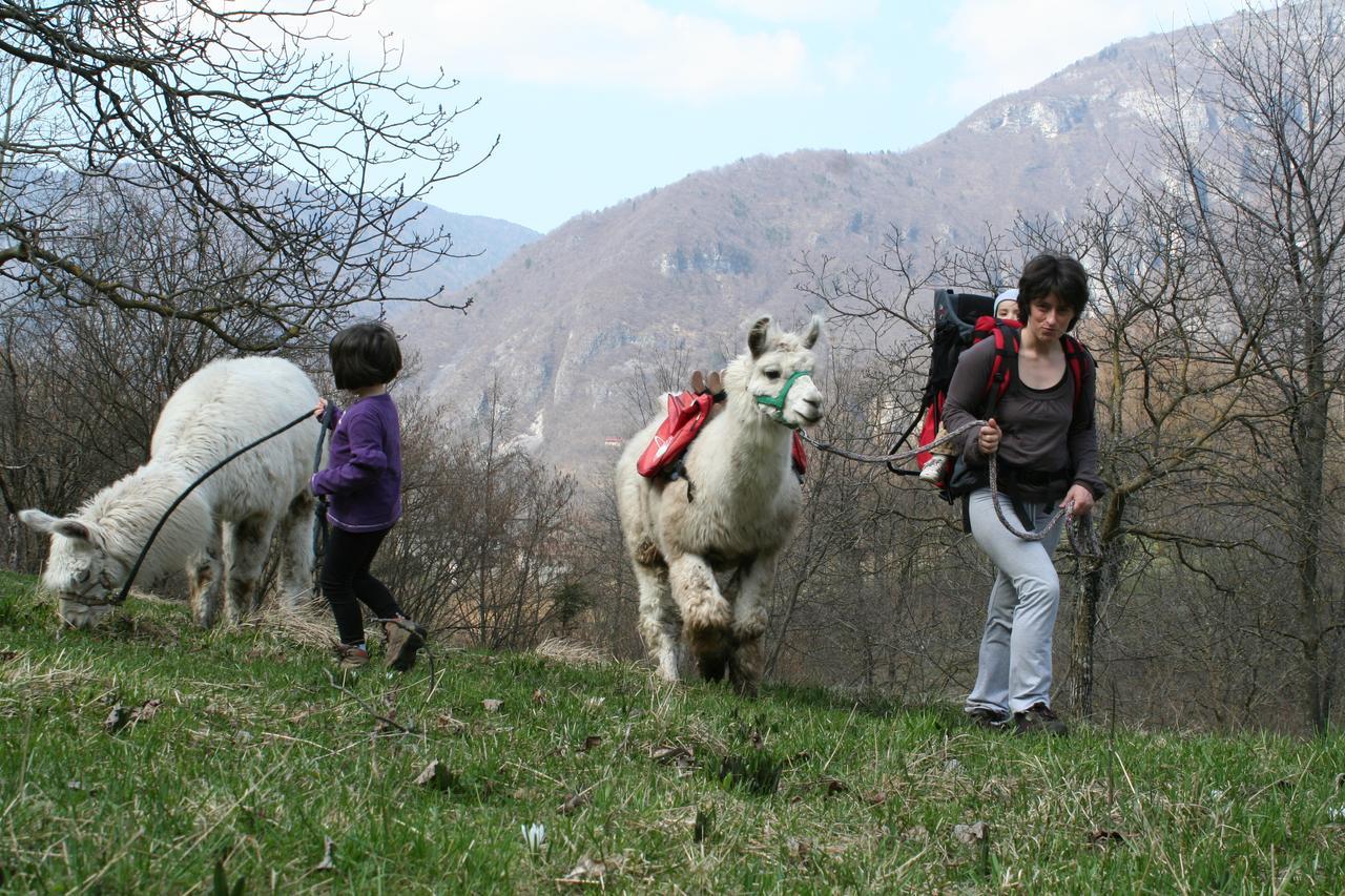 Il Capriolo Felice - Agriturismo Lastebasse Luaran gambar